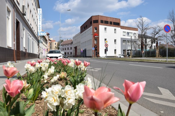 Pohled přes květinový záhon od Masarykova náměstí