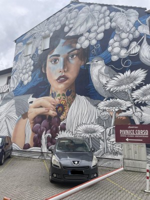 pohled z Národní třídy