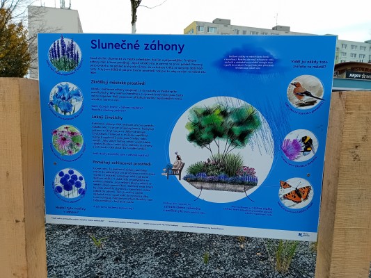 Slunečné záhony