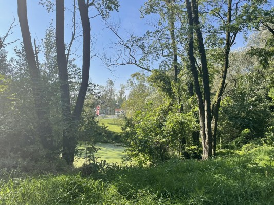 Vyčištění parku u vlakového nádraží Rybníček