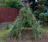 Přírodní dětské hřiště